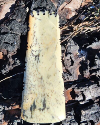 Azdes on burnt log